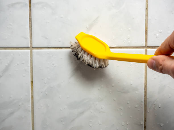 Best Black Mold Remediation in Fall Creek, WI