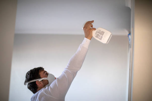 Best Industrial Mold Remediation in Fall Creek, WI