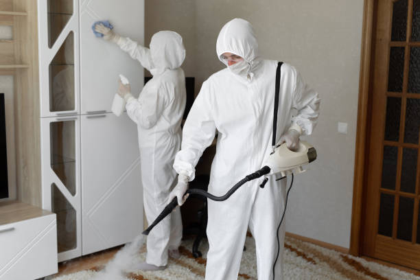 Best HVAC Mold Remediation in Fall Creek, WI