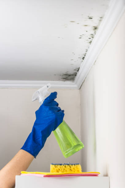 Best Post-Remediation Services in Fall Creek, WI